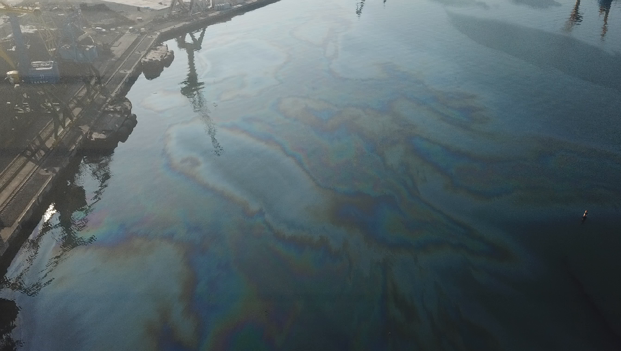 Инспекторы Дальневосточного управления Росприроднадзора определили источники загрязнения нефтепродуктами бухты Находка